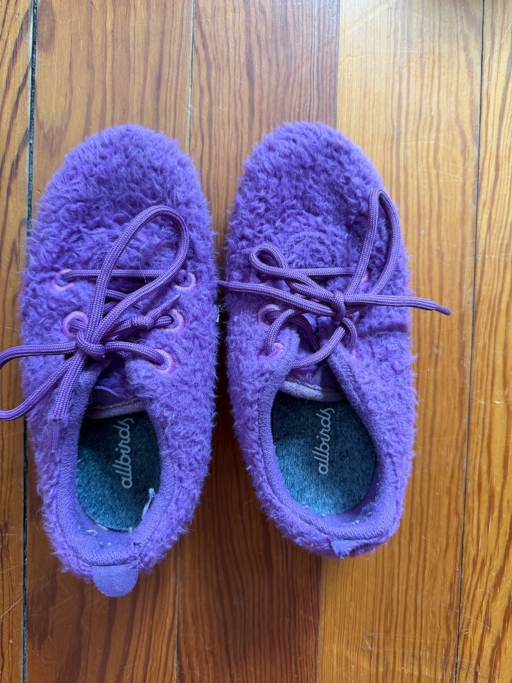 allbirds Purple Fuzzy Wool Lace-Up Sneakers